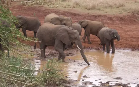 Zuid Afrika