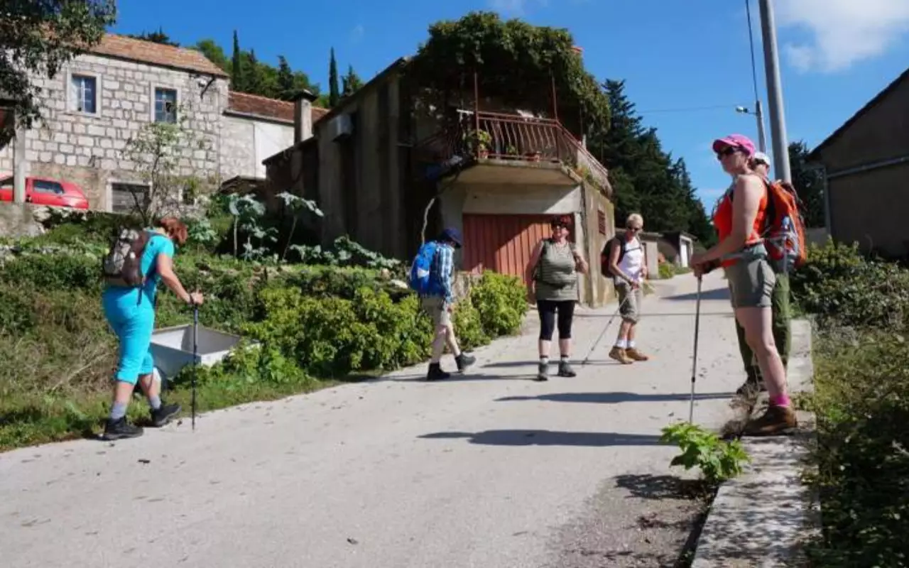 Actieve reizen