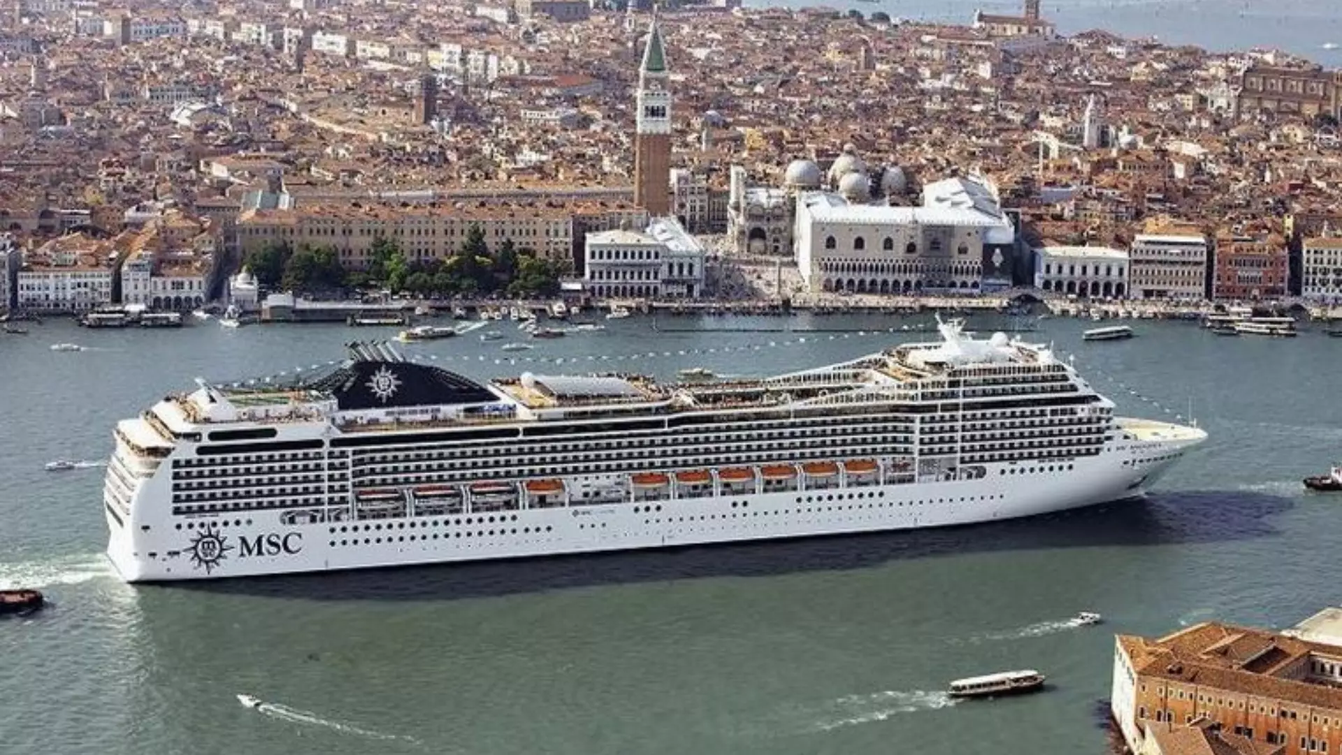 Cruises