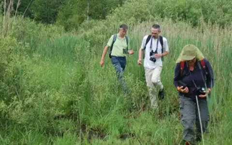 Actieve reizen