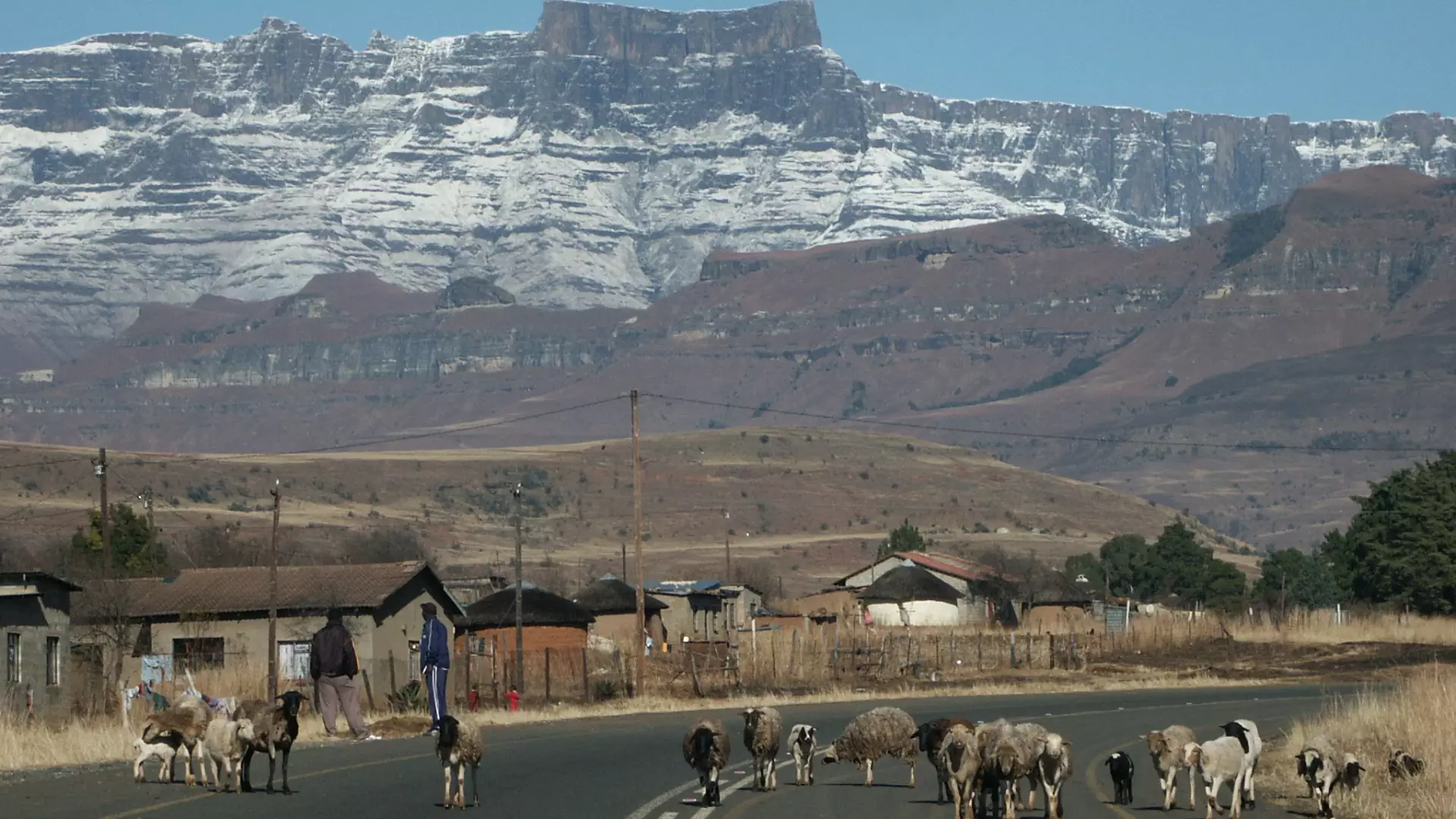 Zuid Afrika