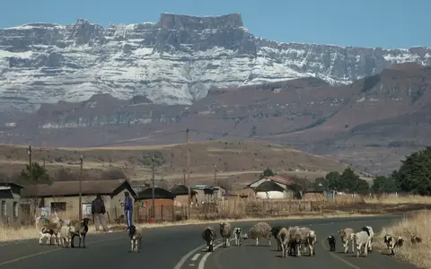 Zuid Afrika
