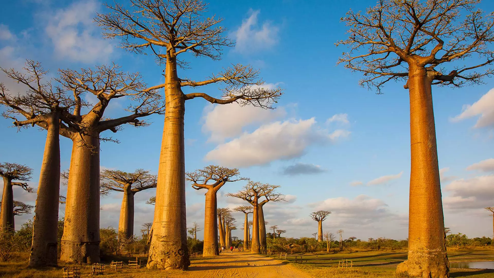 Madagaskar