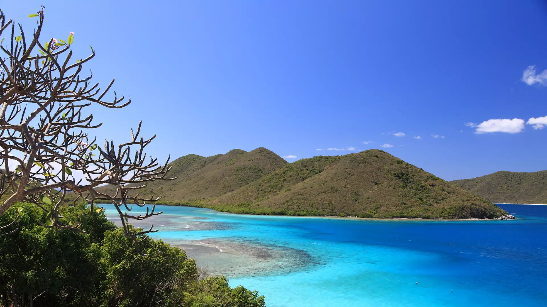 Virgin islands UK