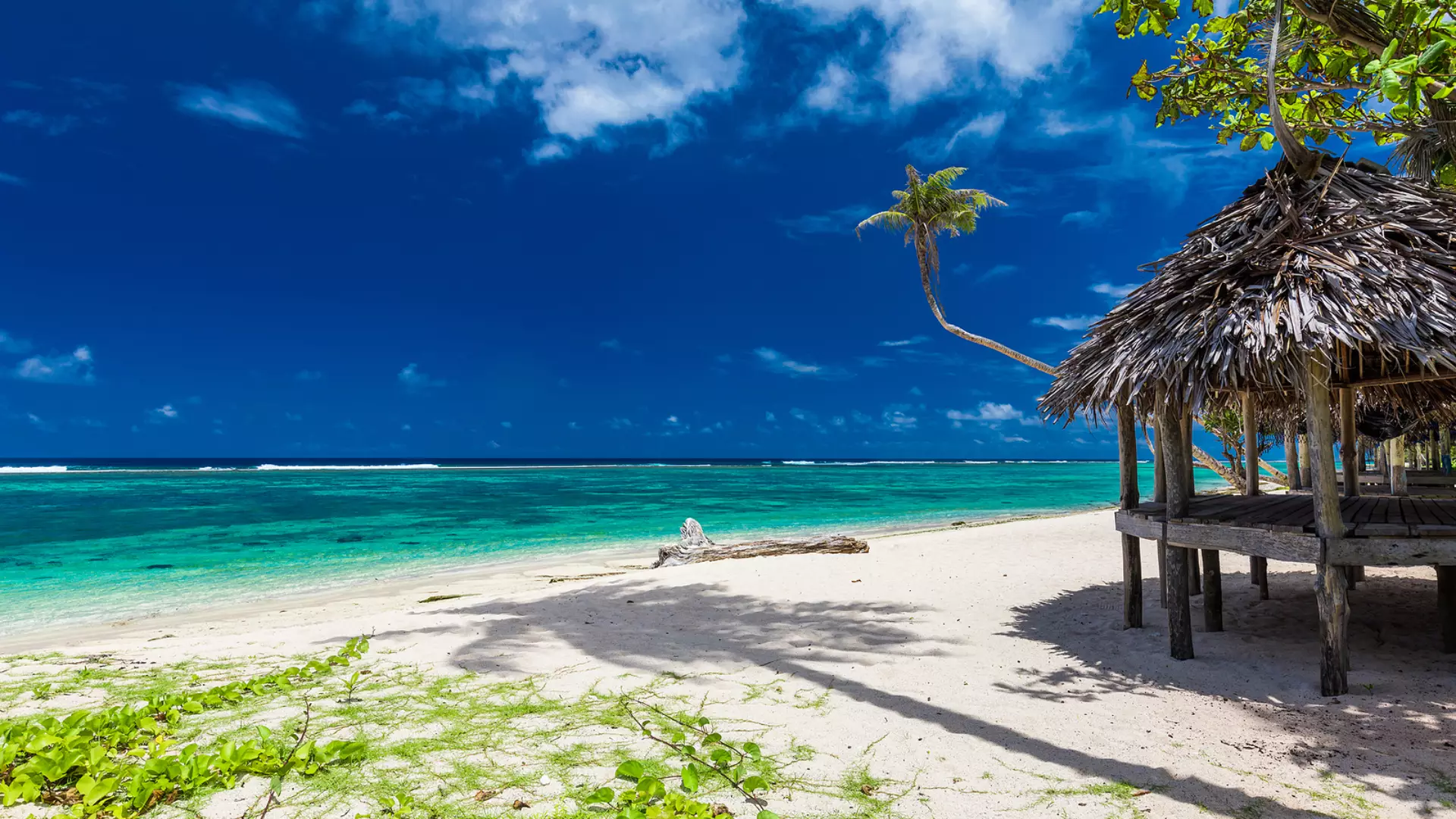 Samoa
