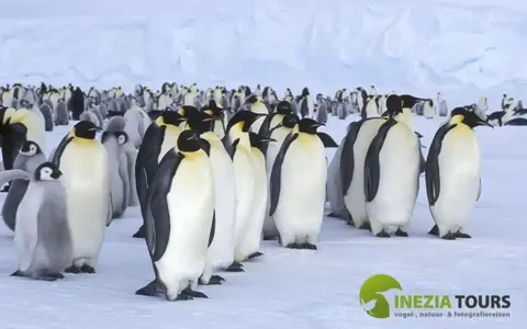 Spitsbergen