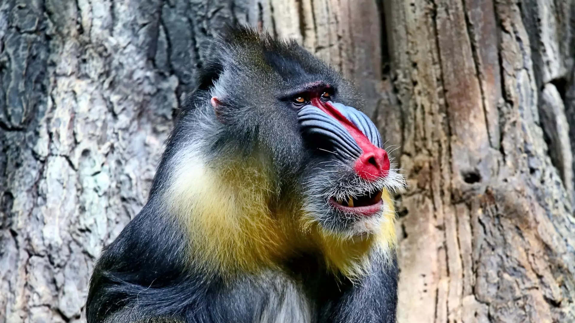 Equatorial Guinea