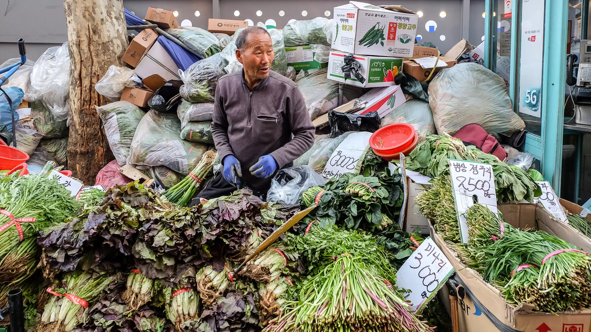 Zuid Korea