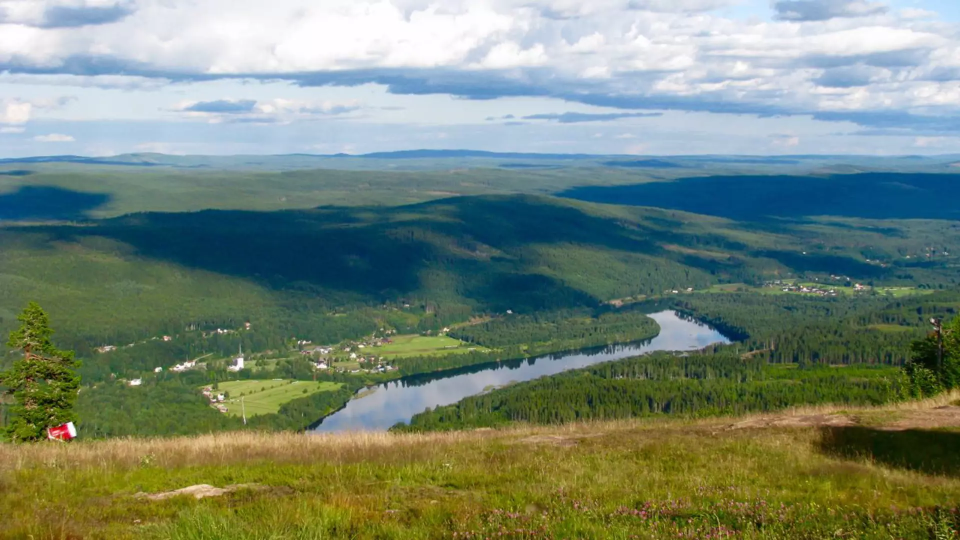 Zweden