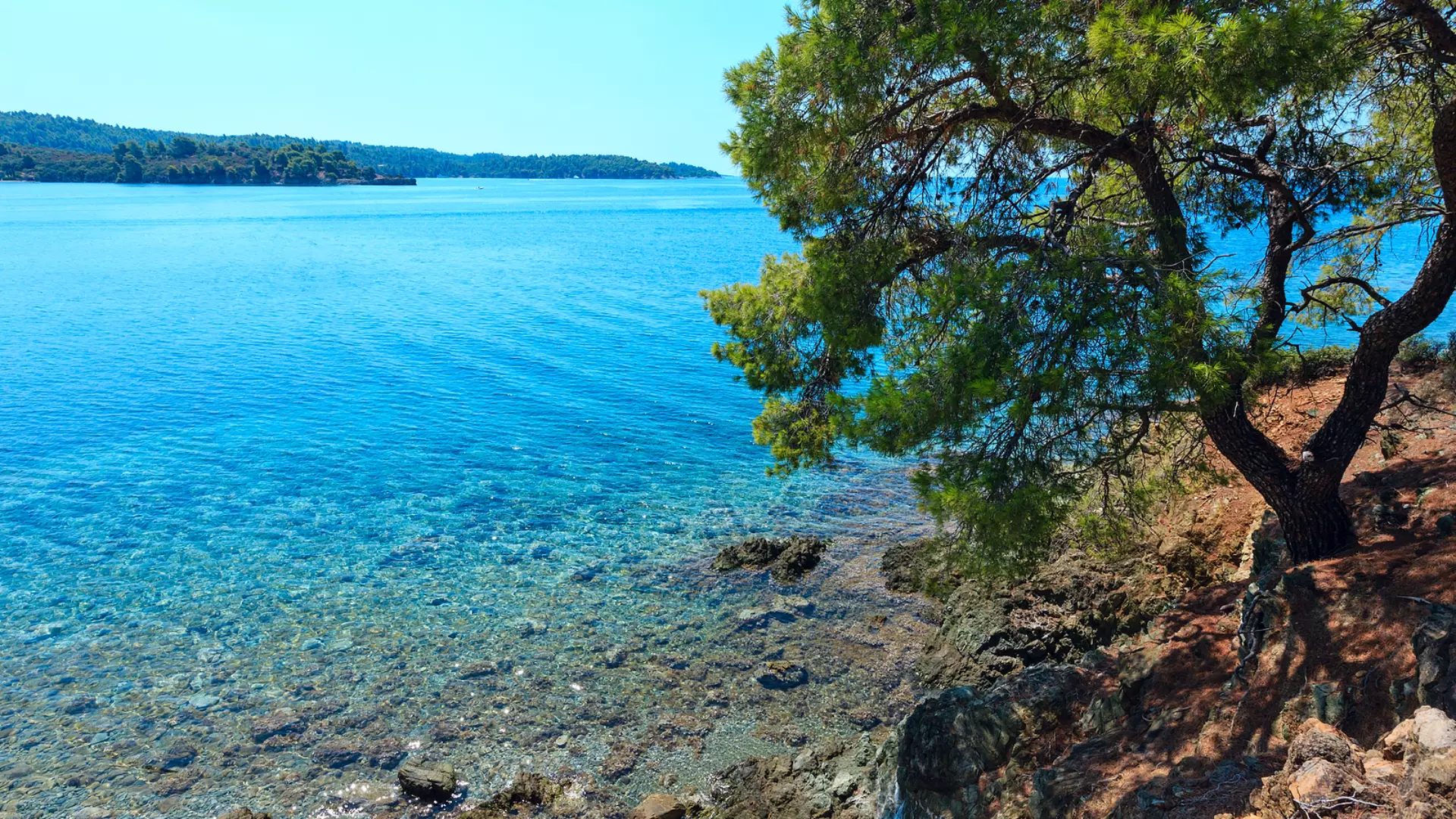 Halkidiki