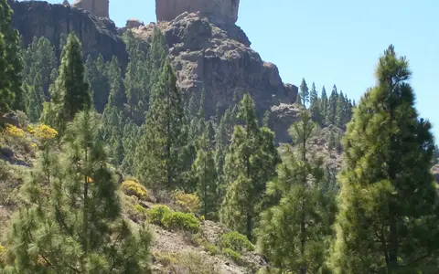 Gran Canaria