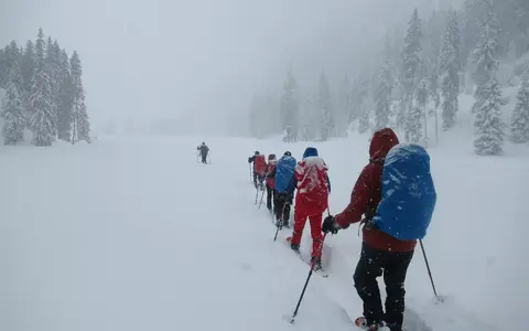 Bergwandelen