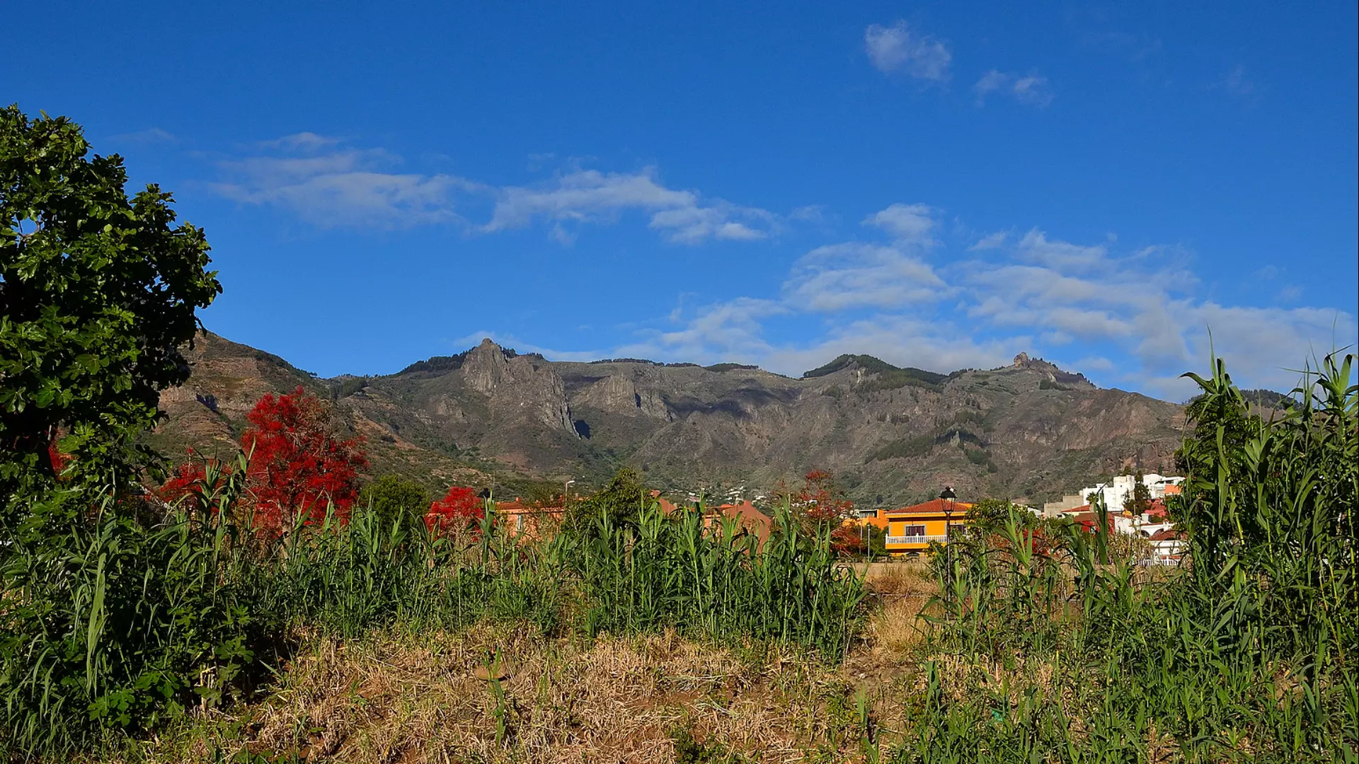 Gran Canaria