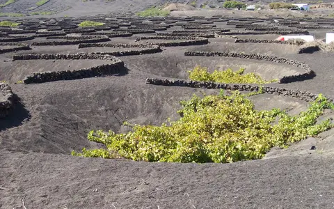 Lanzarote