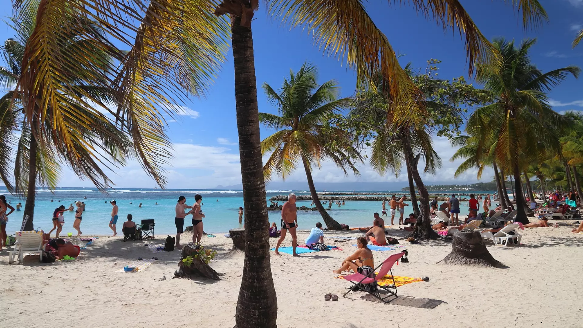 Guadelupe