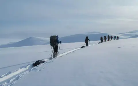 BergBeleving