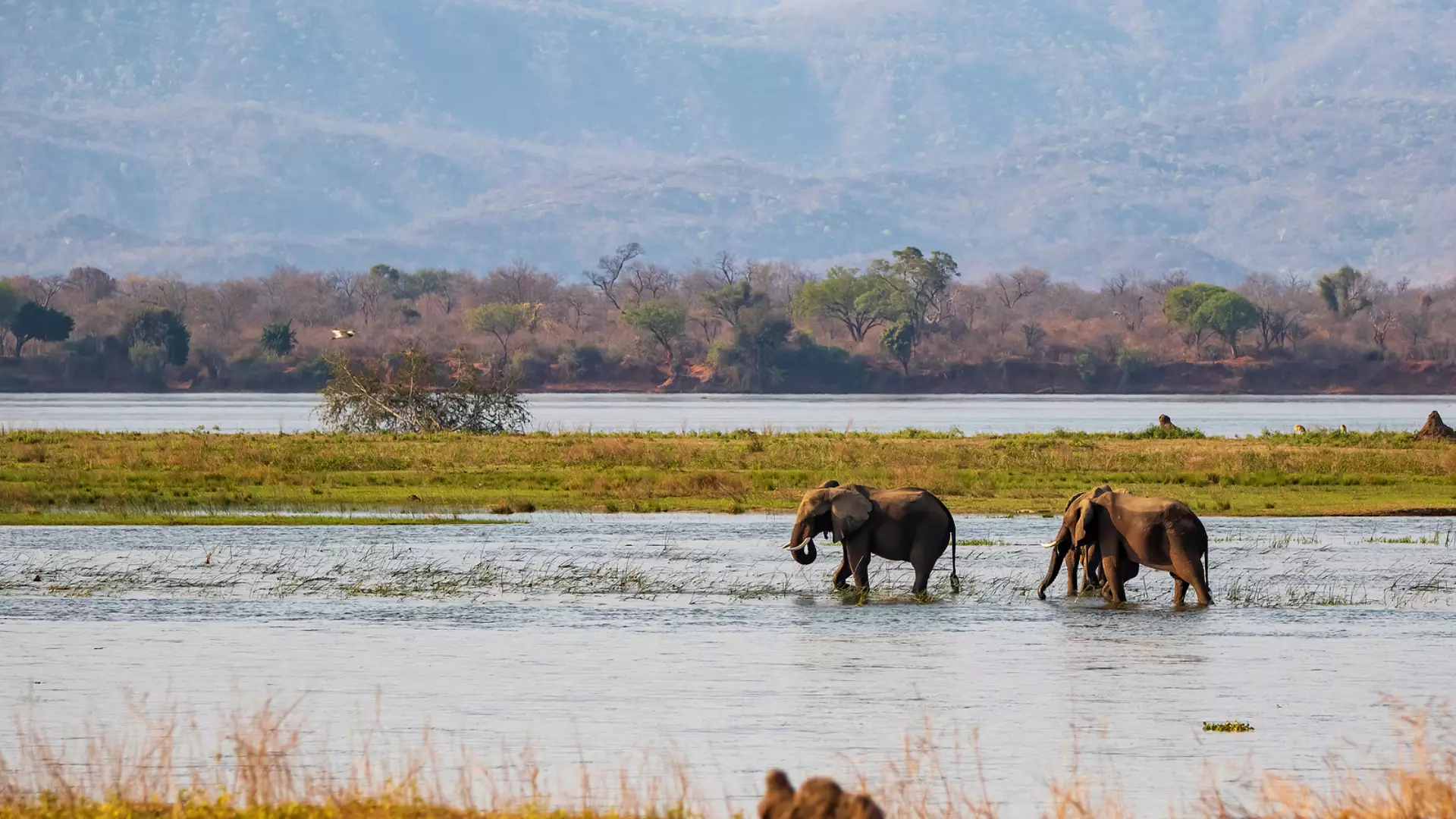 Zimbabwe