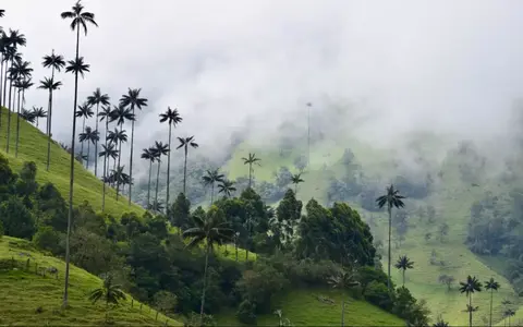 Colombia
