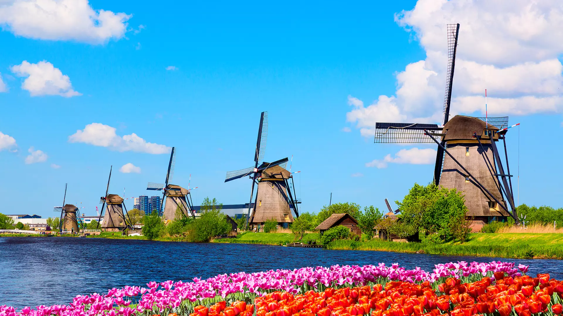 Nederlands Bureau voor Toerisme