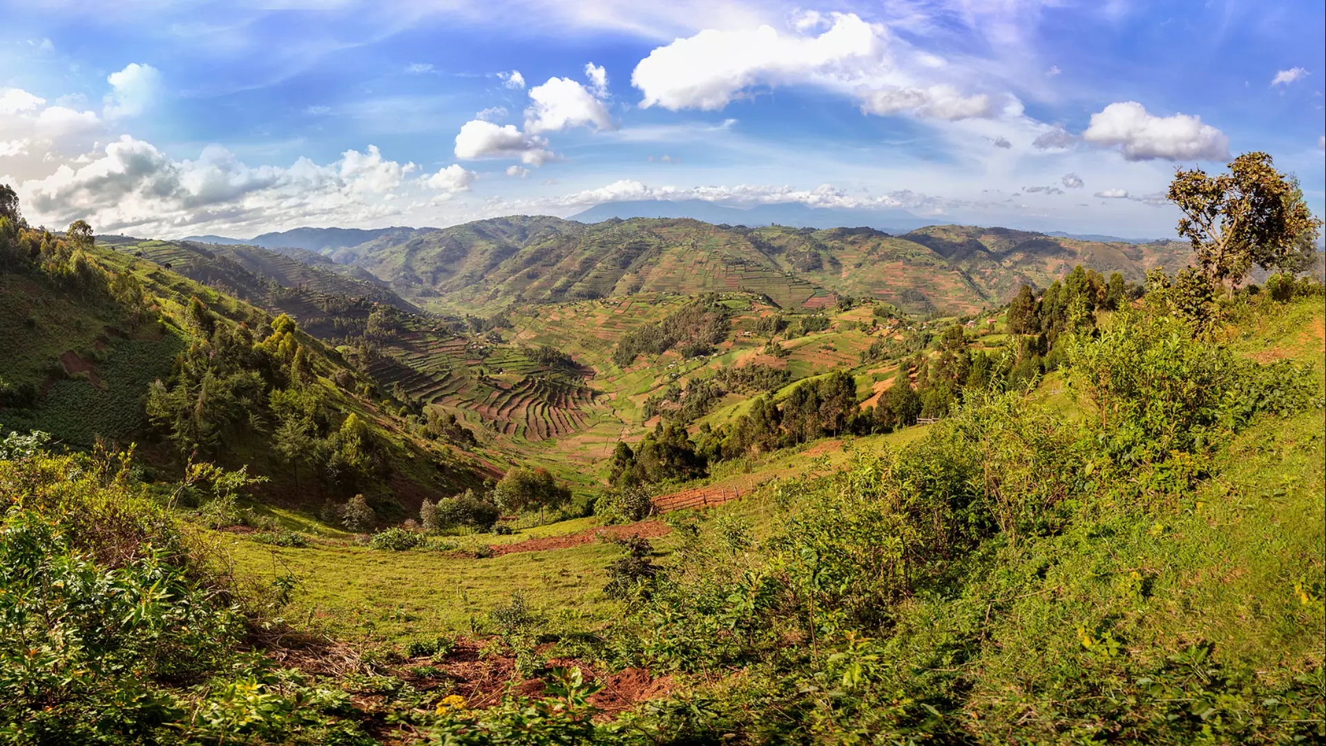 Uganda