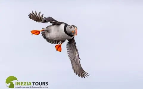 Spitsbergen