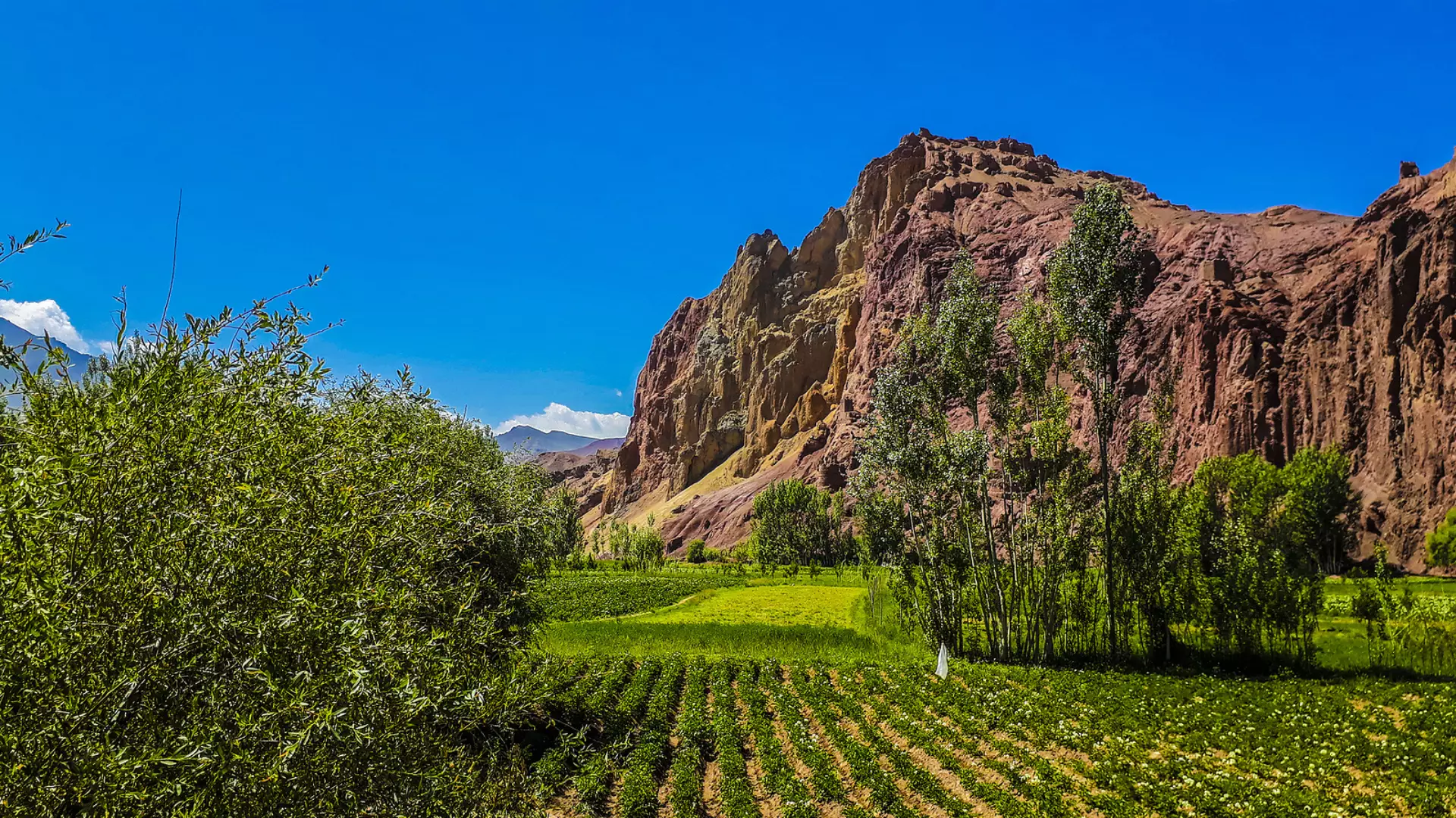 Afghanistan