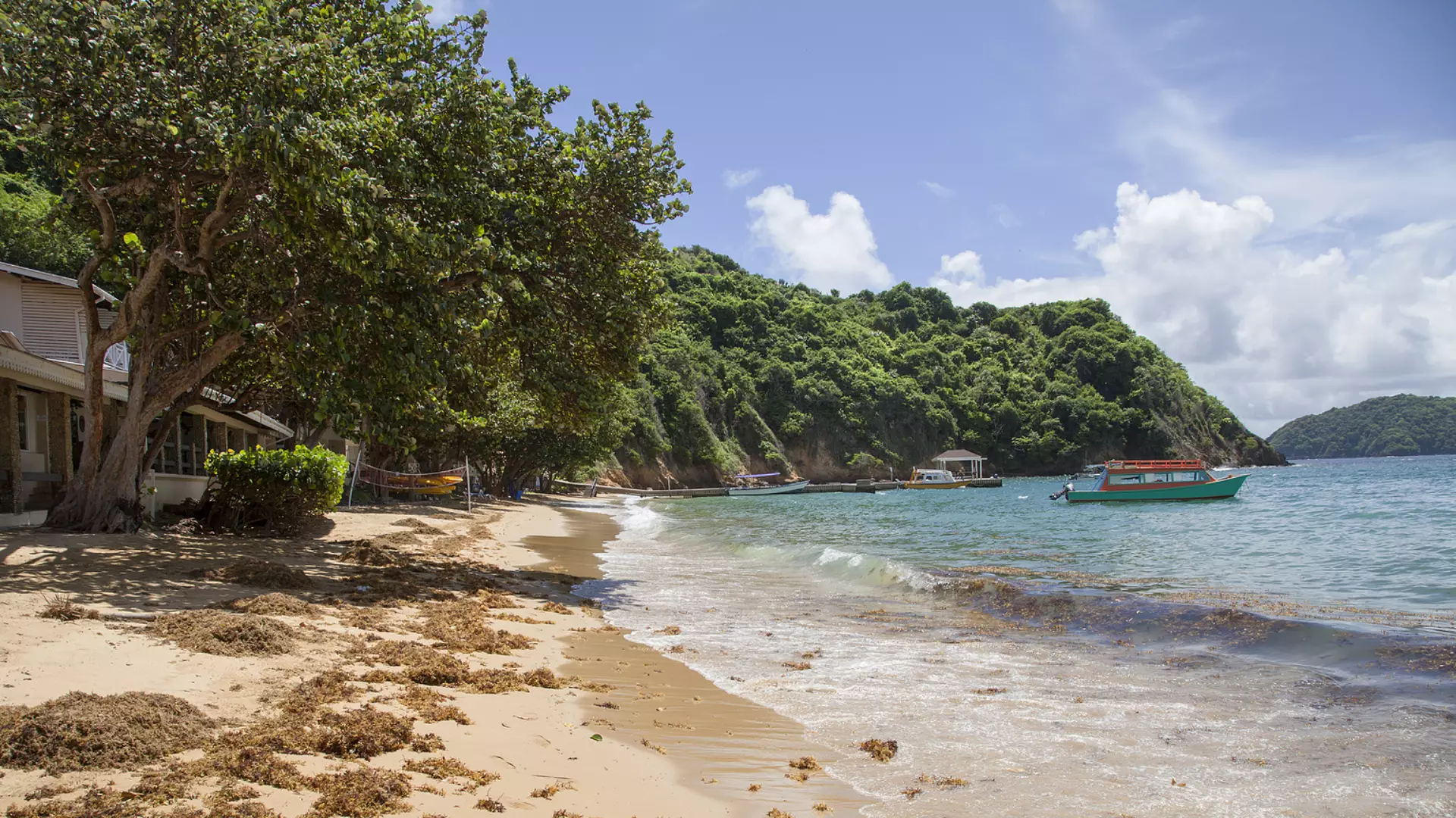 Trinidad & Tobago