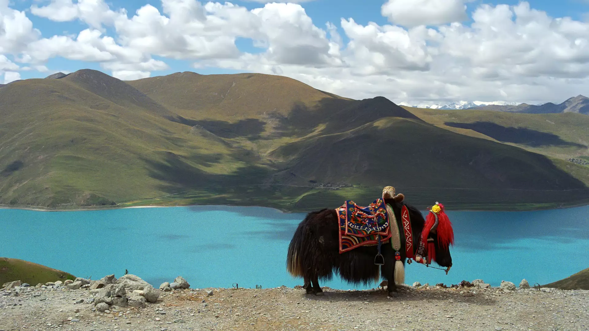 Tibet