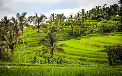 Zuid-Oost Azië:  Vietnam - Indonesië - China